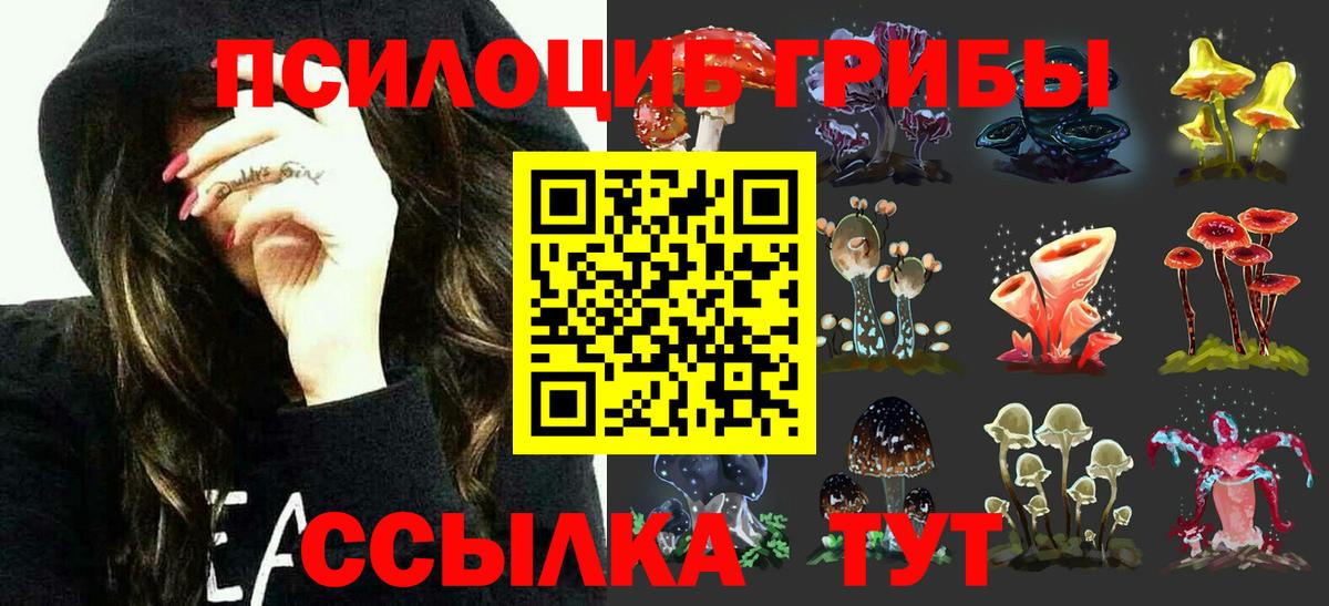 Галлюциногенные грибы Psilocybe Аргун