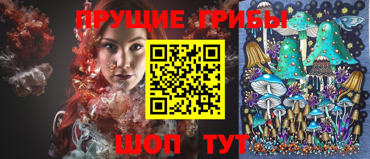Псилоцибиновые грибы прущие грибы  Вход с VPN  Галлюциногенные грибы Cubensis  Аргун 